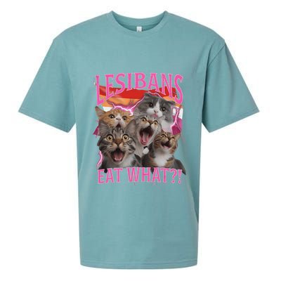 Lesbians Eat What Funny Offensive Cat Unhinged 90s Meme Sueded Cloud Jersey T-Shirt