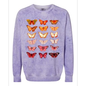 Lesbian Flag Color Butterfly Subtle Sapphic Pride Aesthetic Colorblast Crewneck Sweatshirt