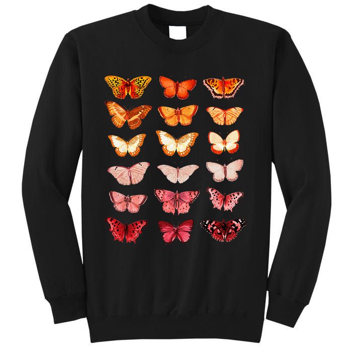 Lesbian Flag Color Butterfly Subtle Sapphic Pride Aesthetic Sweatshirt