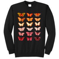 Lesbian Flag Color Butterfly Subtle Sapphic Pride Aesthetic Tall Sweatshirt