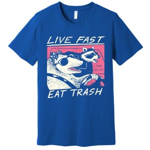 Live Fast Eat Trash And Get Hit By A Car Sunset Raccoon Premium T-Shirt