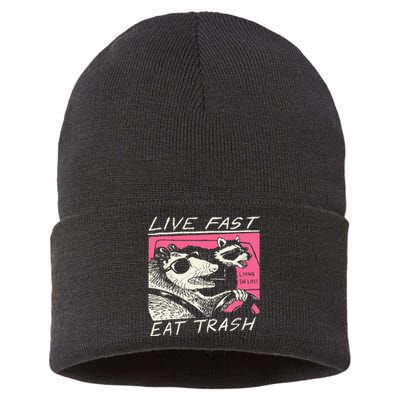 Live Fast Eat Trash And Get Hit By A Car Sunset Raccoon Sustainable Knit Beanie