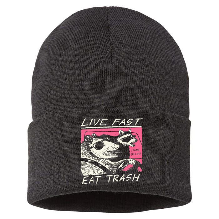 Live Fast Eat Trash And Get Hit By A Car Sunset Raccoon Sustainable Knit Beanie