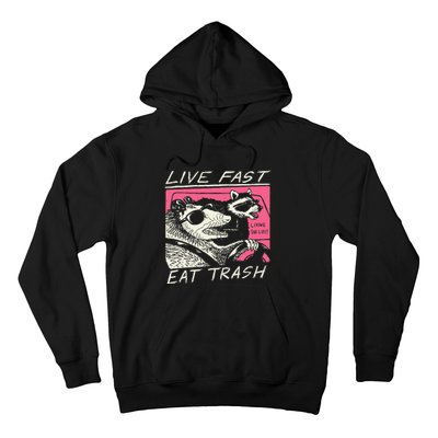 Live Fast Eat Trash And Get Hit By A Car Sunset Raccoon Hoodie