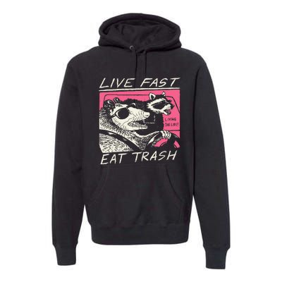 Live Fast Eat Trash And Get Hit By A Car Sunset Raccoon Premium Hoodie