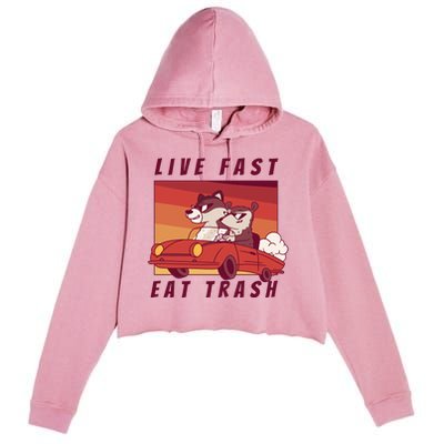 Live Fast Eat Trash Race Car Funny Raccoon Crop Fleece Hoodie