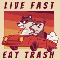 Live Fast Eat Trash Race Car Funny Raccoon Drawstring Bag