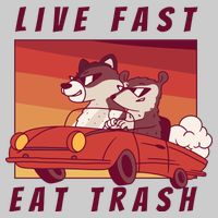 Live Fast Eat Trash Race Car Funny Raccoon Tie-Dye T-Shirt