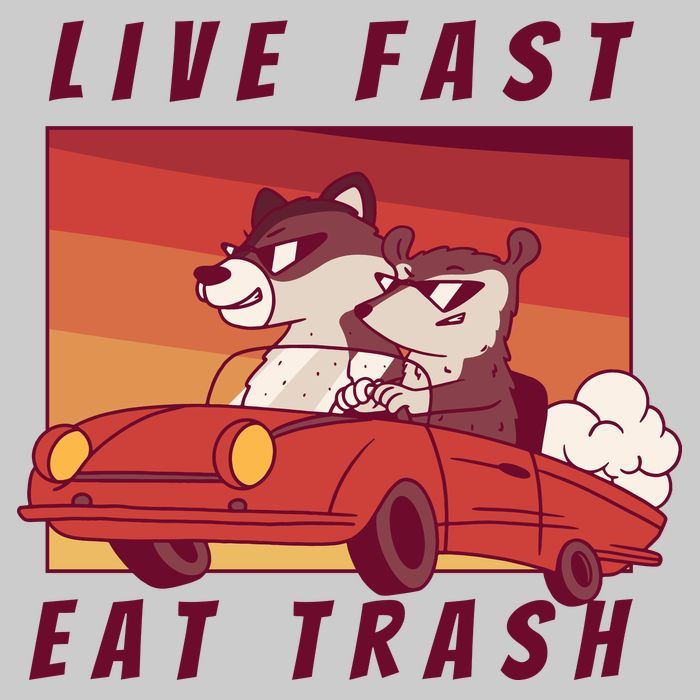 Live Fast Eat Trash Race Car Funny Raccoon Tie-Dye T-Shirt