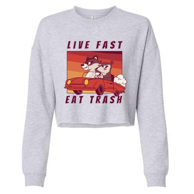 Live Fast Eat Trash Race Car Funny Raccoon Cropped Pullover Crew