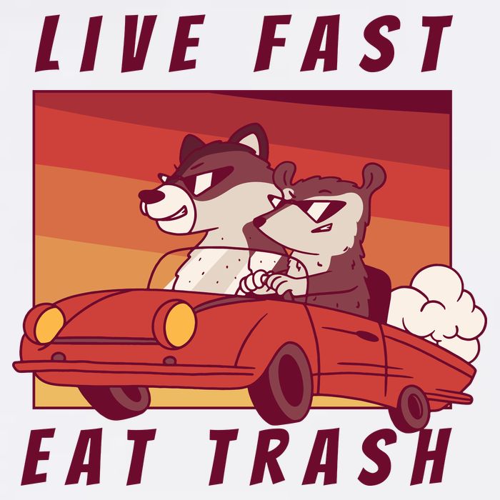 Live Fast Eat Trash Race Car Funny Raccoon Garment-Dyed Heavyweight T-Shirt