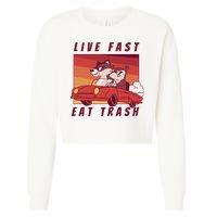 Live Fast Eat Trash Race Car Funny Raccoon Cropped Pullover Crew