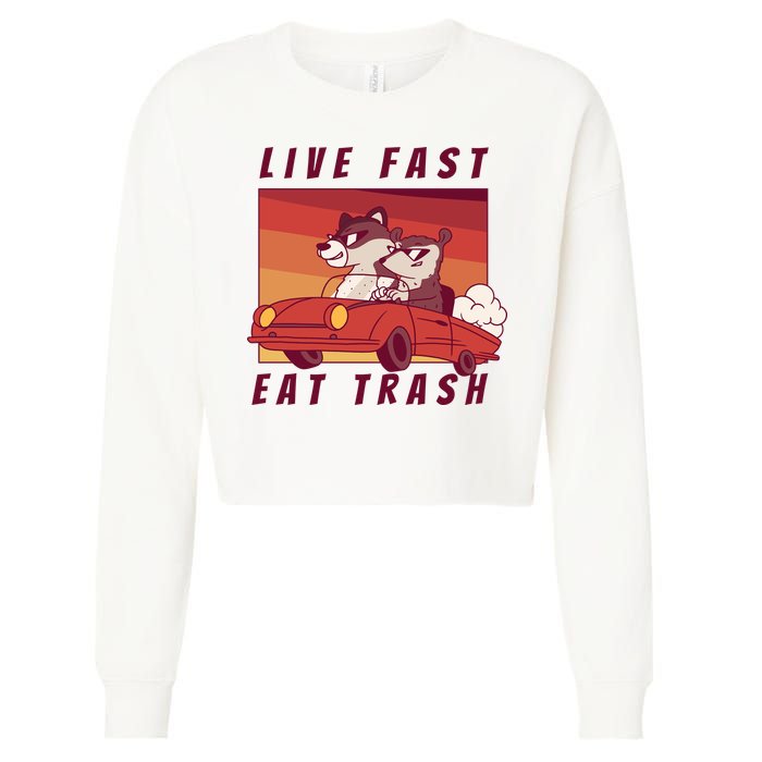 Live Fast Eat Trash Race Car Funny Raccoon Cropped Pullover Crew