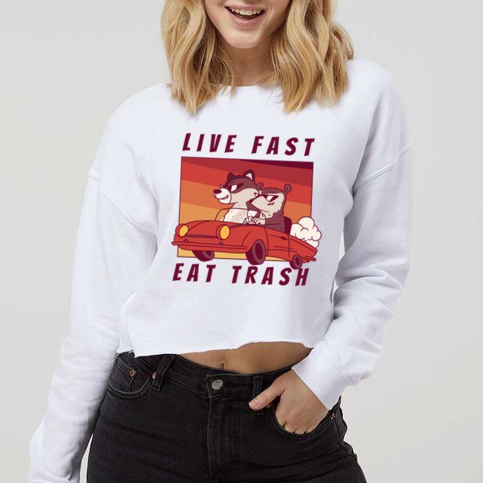 Live Fast Eat Trash Race Car Funny Raccoon Cropped Pullover Crew