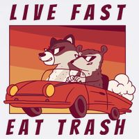 Live Fast Eat Trash Race Car Funny Raccoon Cropped Pullover Crew