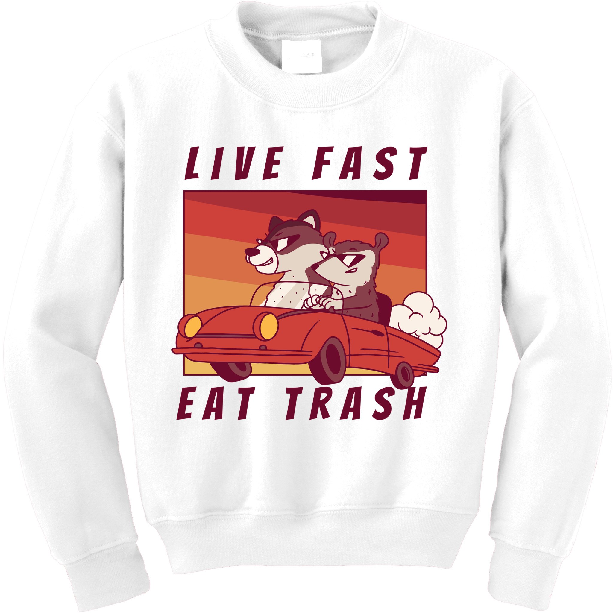 Live Fast Eat Trash Race Car Funny Raccoon Kids Sweatshirt