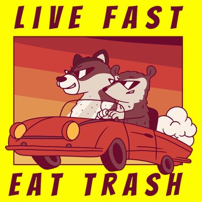 Live Fast Eat Trash Race Car Funny Raccoon T-Shirt
