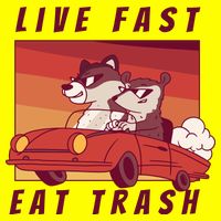 Live Fast Eat Trash Race Car Funny Raccoon Button