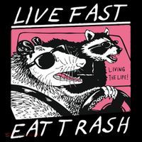 Live Fast Eat Trash Animal Funny Raccoon Poster