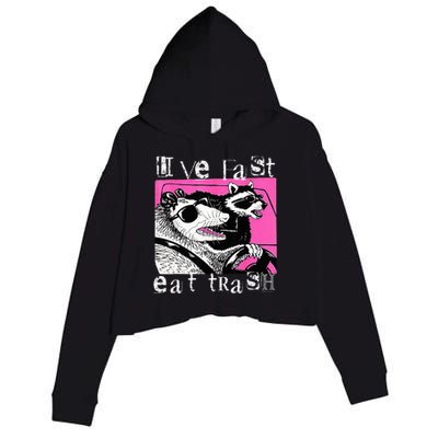 Live Fast Eat Trash Funny Possum Racoon Retro Sunglasses Crop Fleece Hoodie