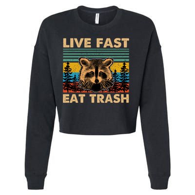 Live Fast Eat Trash Funny Raccoon Camping Vintage Retro Gift Cropped Pullover Crew