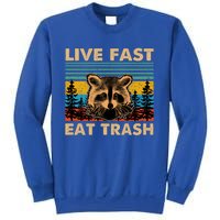 Live Fast Eat Trash Funny Raccoon Camping Vintage Retro Gift Sweatshirt