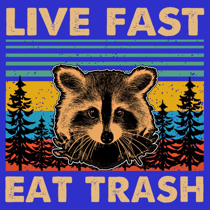 Live Fast Eat Trash Funny Raccoon Camping Vintage Retro Gift Button