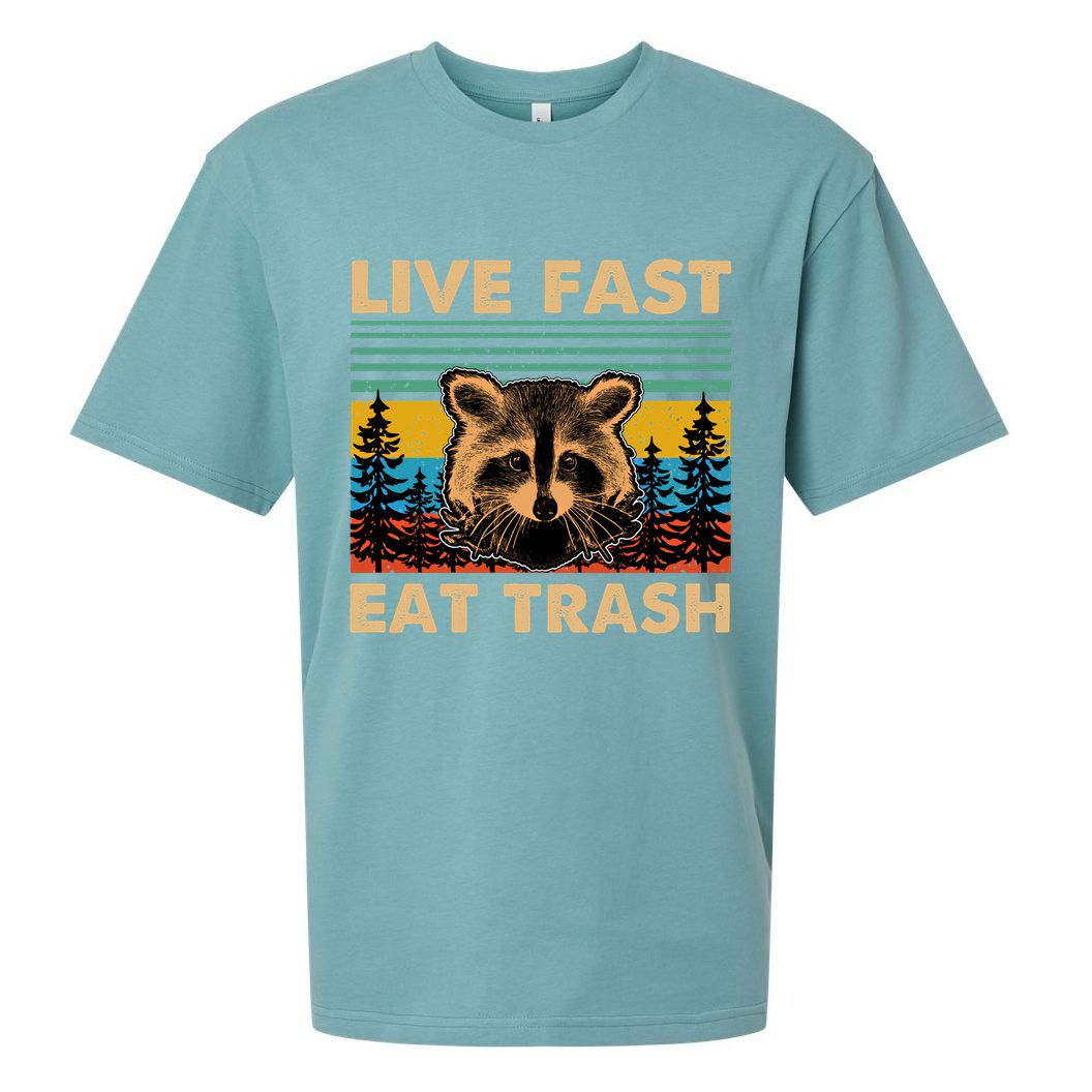 Live Fast Eat Trash Funny Raccoon Camping Vintage Retro Gift Sueded Cloud Jersey T-Shirt