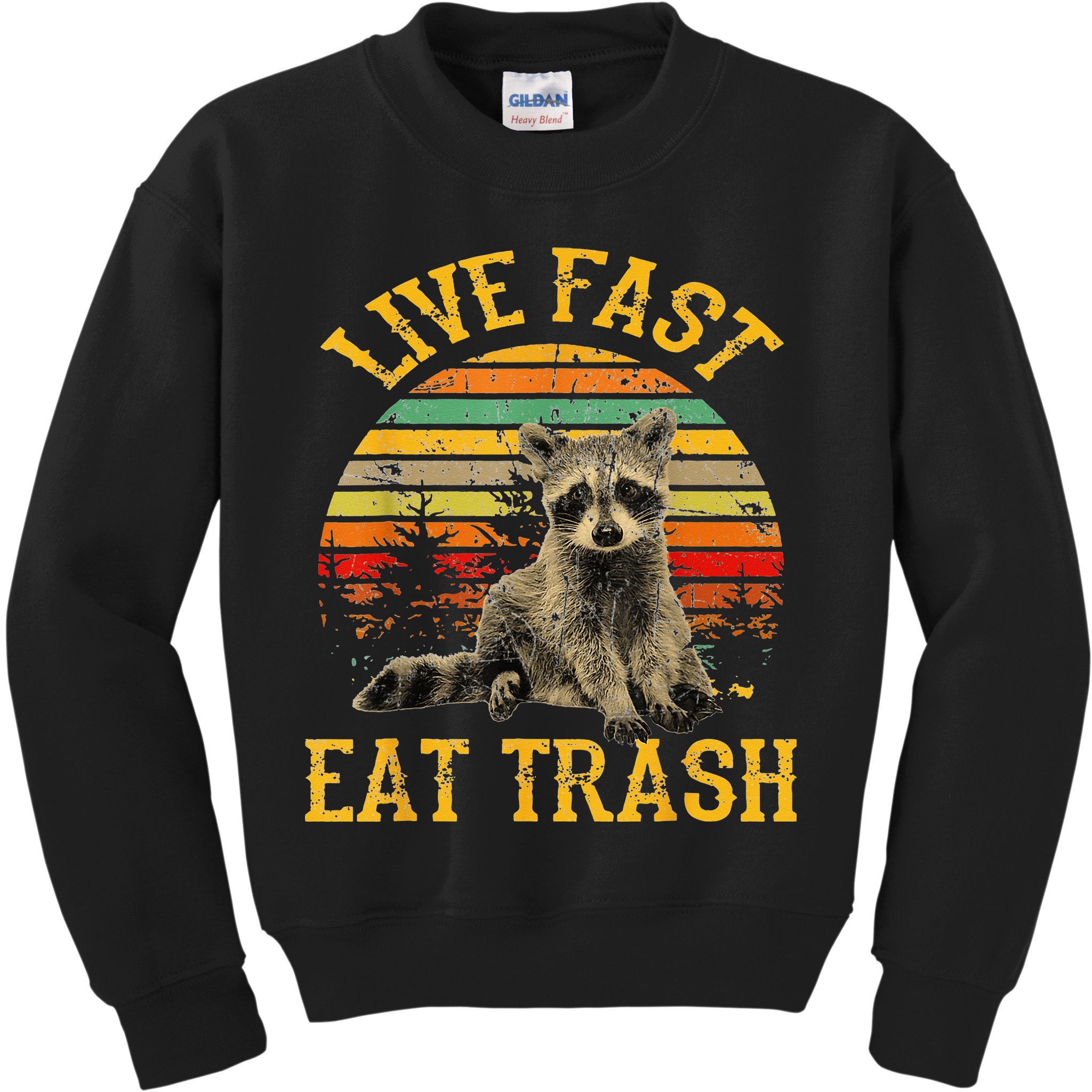 Live fast eat Trash Funny Raccoon Camping Vintage Kids Sweatshirt