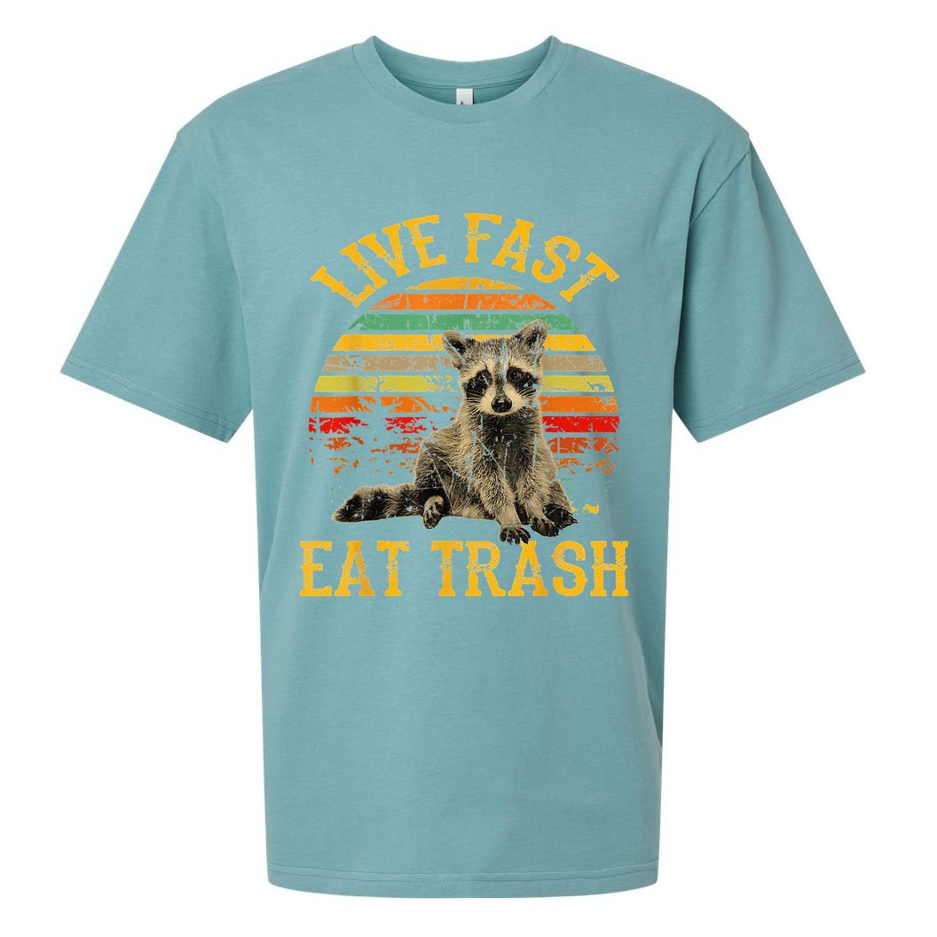 Live fast eat Trash Funny Raccoon Camping Vintage Sueded Cloud Jersey T-Shirt