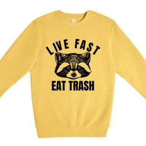 Live Fast Eat Trashfunny Gift Funny Raccoon Design Gift Premium Crewneck Sweatshirt