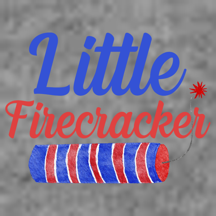 Little Firecracker Funny 4th Of July Toddler Hoodie