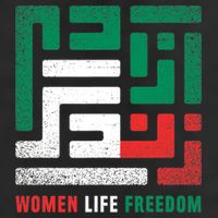  Life Freedom Free Iran Adult Drive Performance Visor