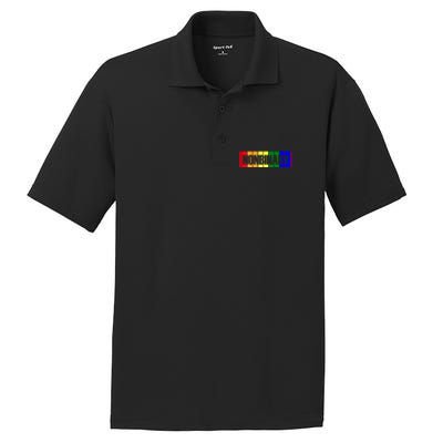 Lgbt Funny Gay Lesbian Bisexual Pride Nonbinary Great Gift PosiCharge RacerMesh Polo