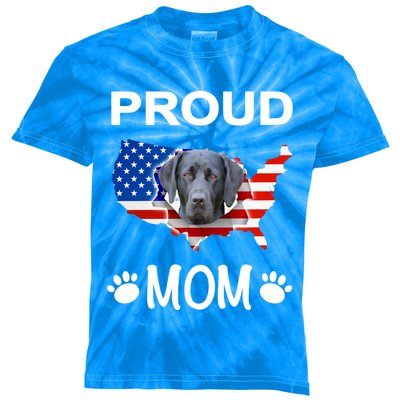 Labrador Funny Gift Labrador Dog Proud Patriot Mom Gift Kids Tie-Dye T-Shirt