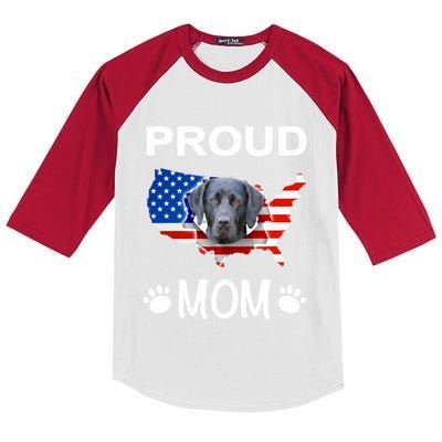 Labrador Funny Gift Labrador Dog Proud Patriot Mom Gift Kids Colorblock Raglan Jersey