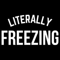Literally Freezing I Am Literally Freezing Cold Gift City Backpack