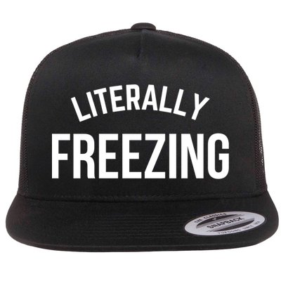Literally Freezing I Am Literally Freezing Cold Gift Flatbill Hat