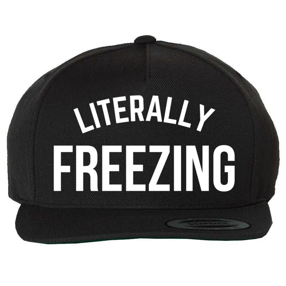 Literally Freezing I Am Literally Freezing Cold Gift Wool Snapback Cap