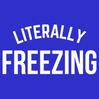Literally Freezing I Am Literally Freezing Cold Gift Womens T-Shirt