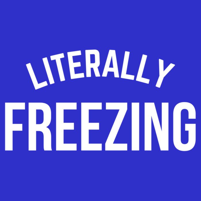 Literally Freezing I Am Literally Freezing Cold Gift Womens T-Shirt