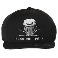 Linux Funny Linux Gift Command Sudo RM RF Wool Snapback Cap