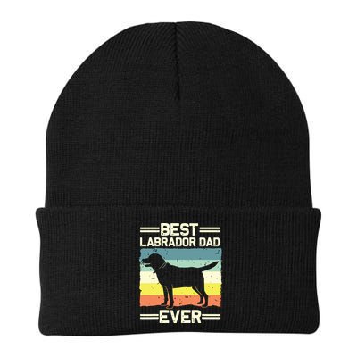 Labrador For Men Dad Black Lab Yellow Labrador Retriever Beanie