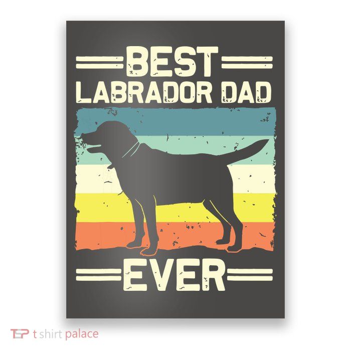 Labrador For Men Dad Black Lab Yellow Labrador Retriever Poster