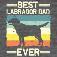 Labrador For Men Dad Black Lab Yellow Labrador Retriever Tall Sweatshirt