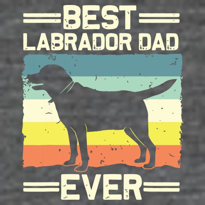 Labrador For Men Dad Black Lab Yellow Labrador Retriever Wool Snapback Cap