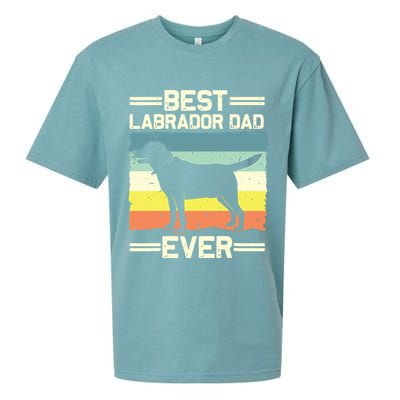 Labrador For Men Dad Black Lab Yellow Labrador Retriever Sueded Cloud Jersey T-Shirt