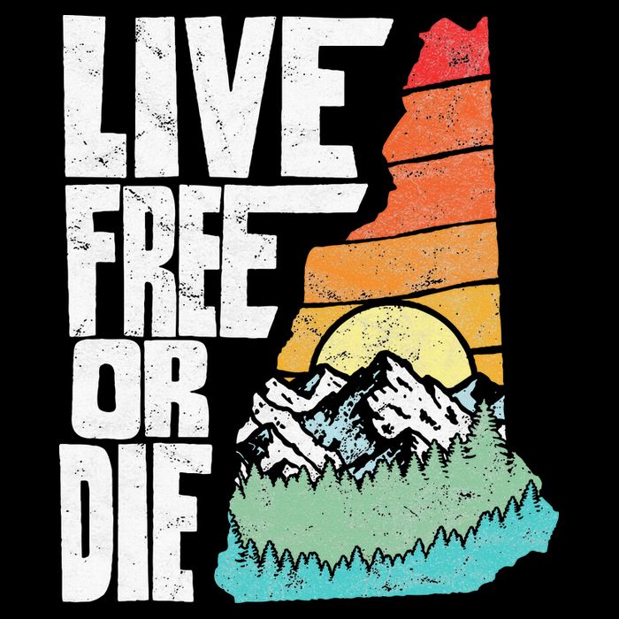 Live Free Or Die Retro New Hampshire Nature Graphic T-Shirt
