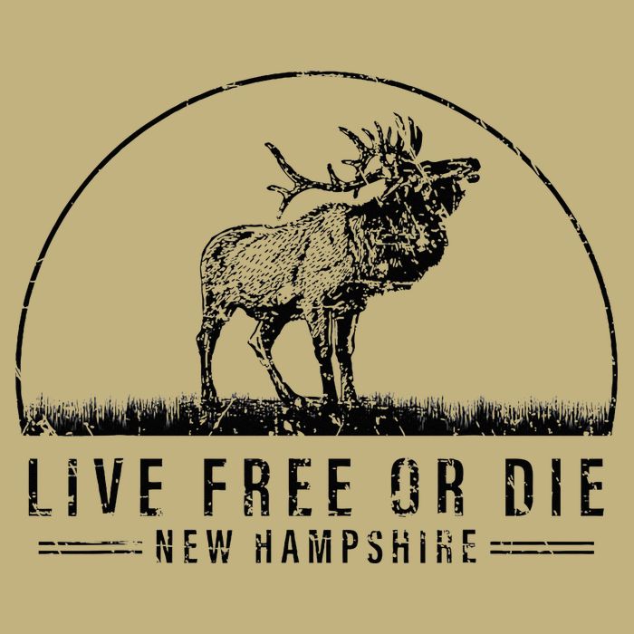 Live Free Or Die New Hampshire Nature Vintage T-Shirt