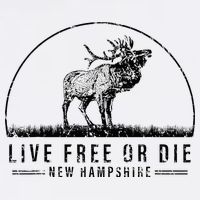 Live Free Or Die New Hampshire Nature Vintage Hat
